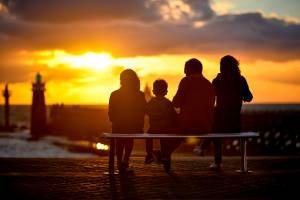 Paulo CARDINAL - Paulo Cardinal